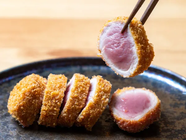 つかんと フクオカ 사진 3