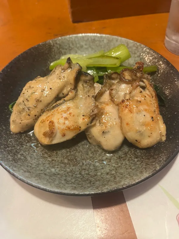 코기쿠 사진 5