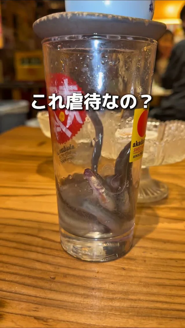 中トロと豚足 사진 5
