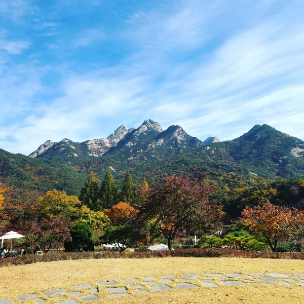 고양 덕양 카페 & 베이커리