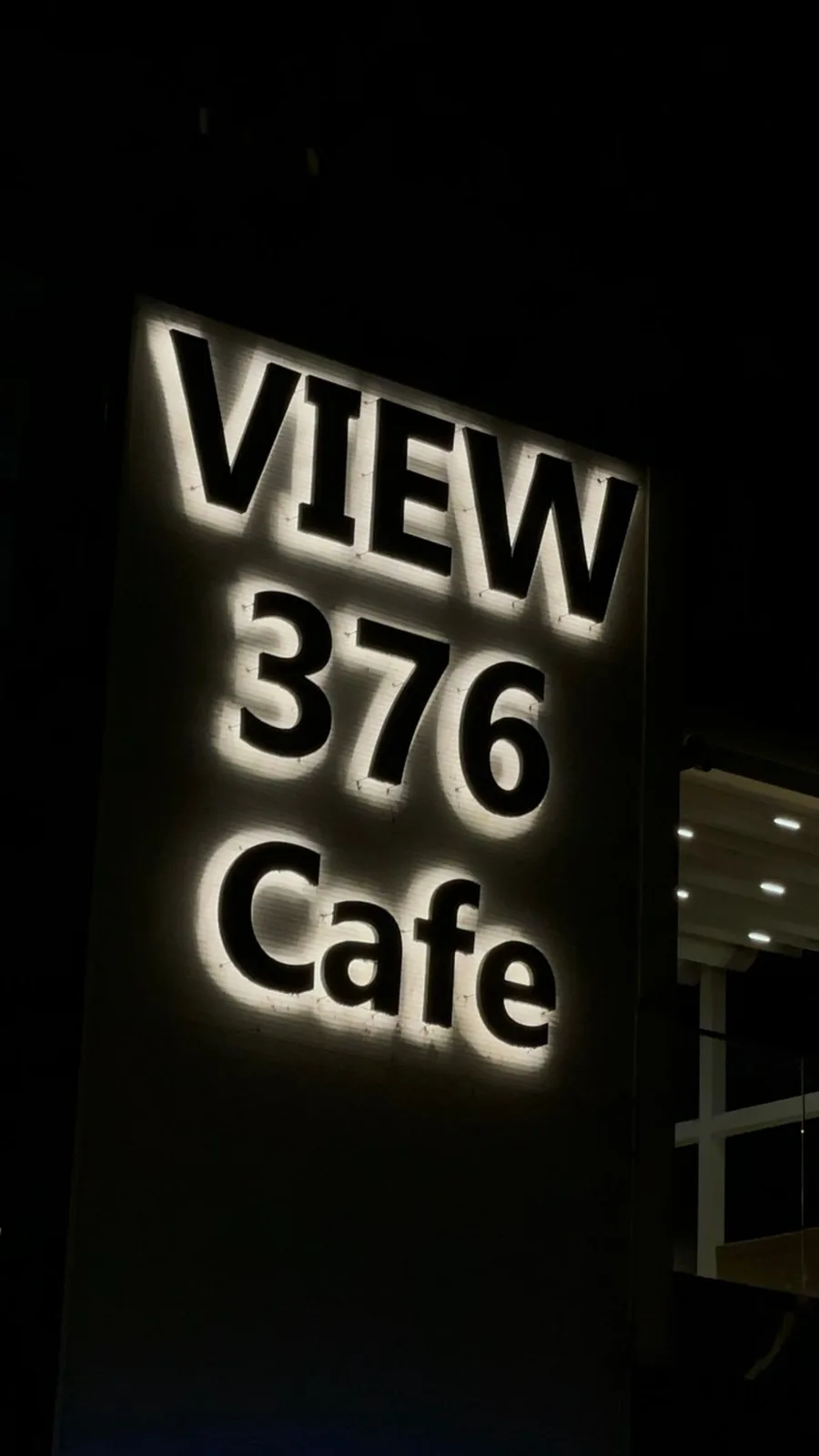 VIEW376