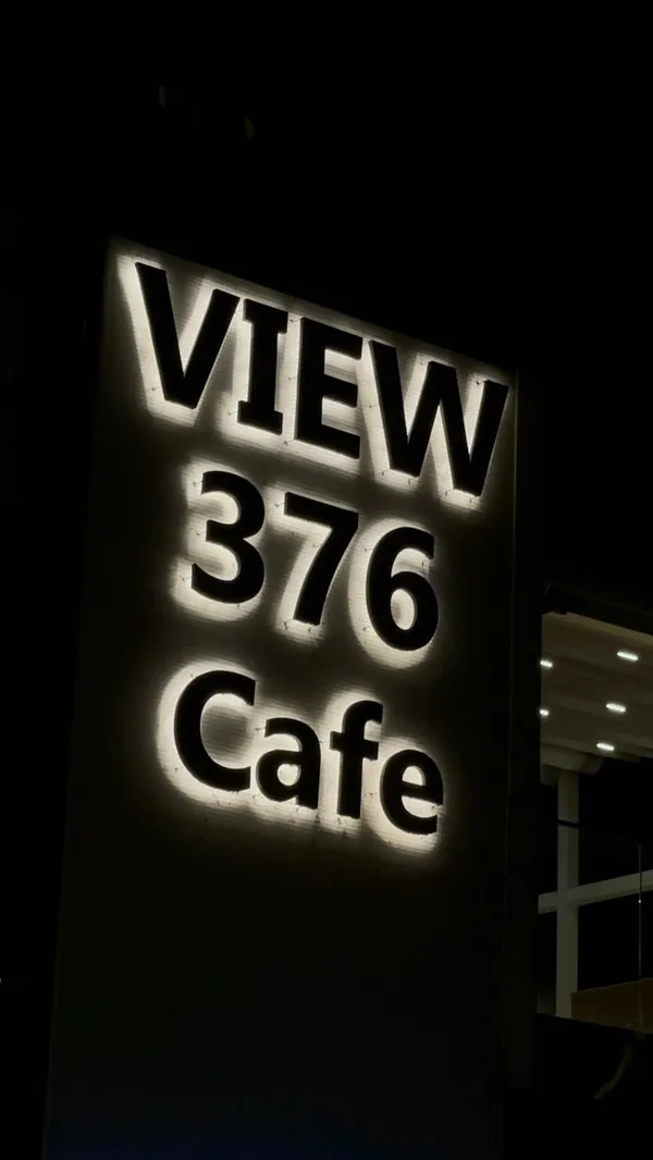 VIEW376