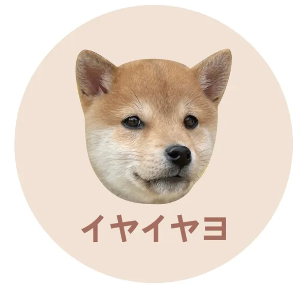 이야이야요