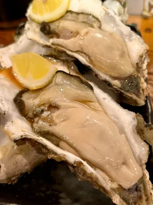 ヒロマル