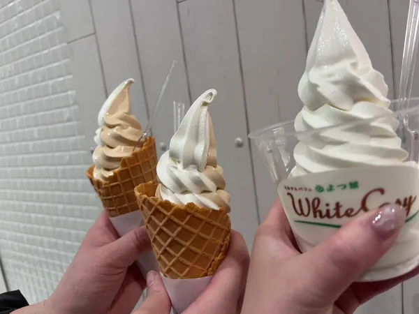 요츠바 화이트코지 신치토세점 사진 4
