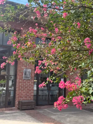 Cafe Tangerine