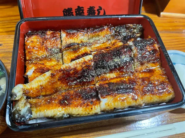 마사코우스시 사진 3