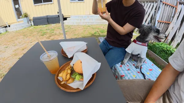 対馬もみじぼたん 사진 5