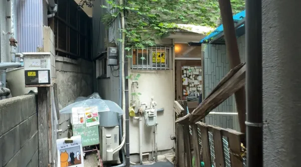 티키 사진 5