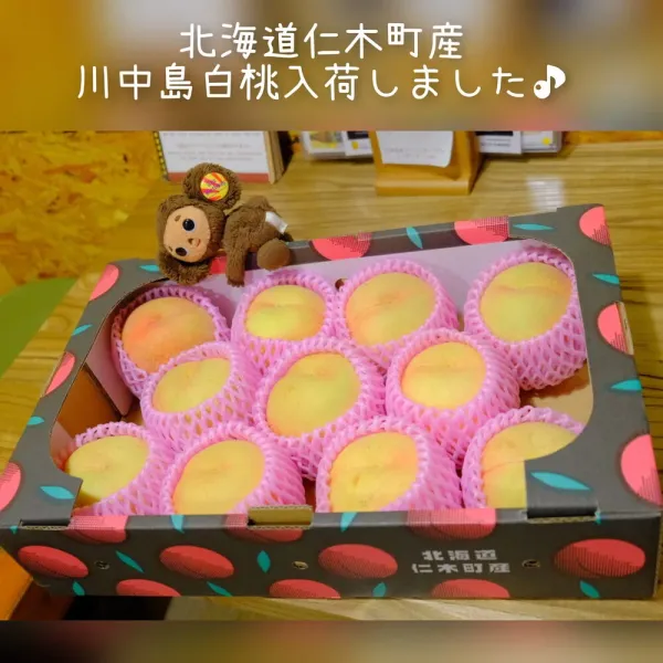 파르페 바 포레포레 사진 4