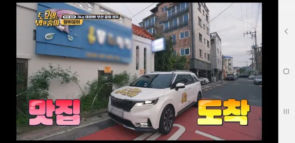 송원물회횟집