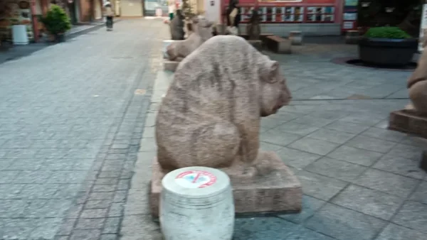 로쇼키 사진 2