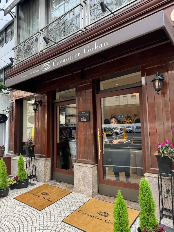 Cacaotier Gokan 사진 2