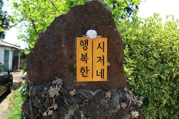 행복한 시저네