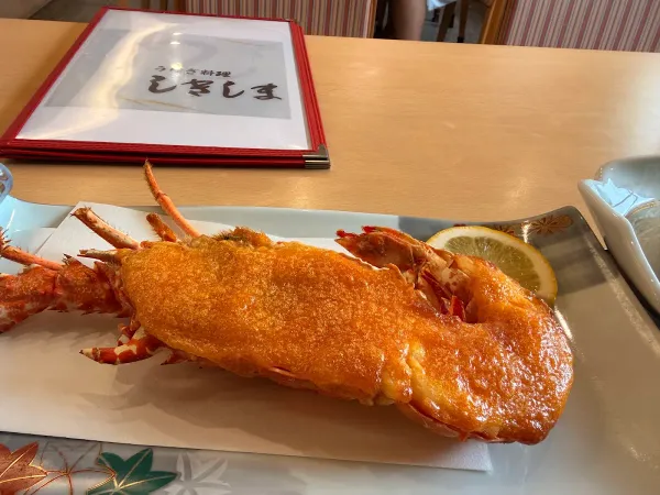 시키시마 사진 4