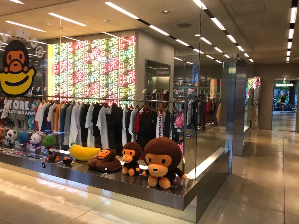 베이프 사진 3