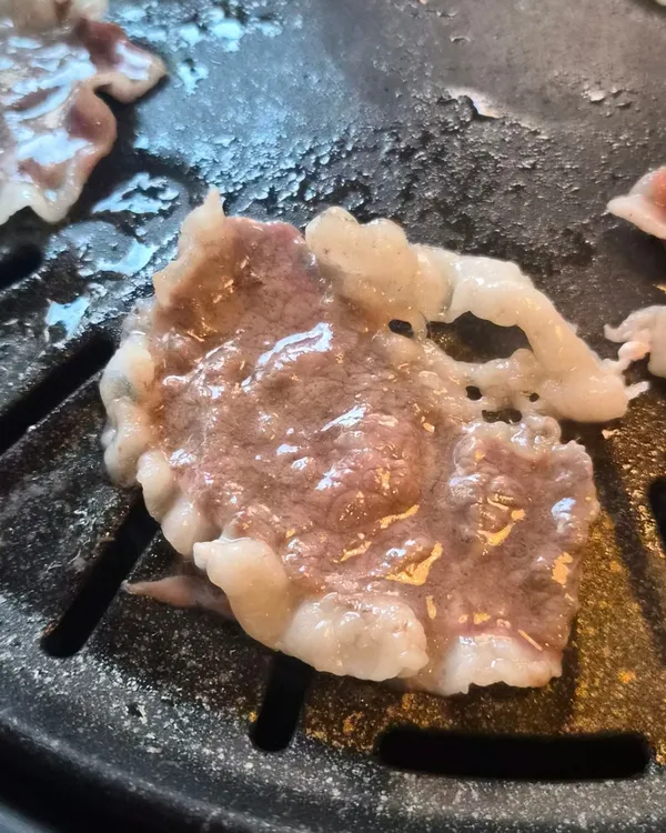 モシジョの写真5