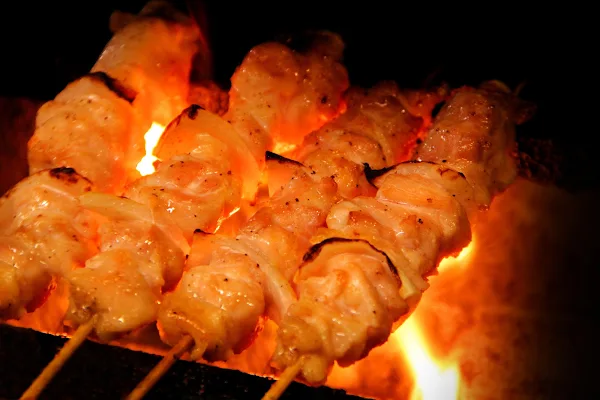 칸로 사진 5