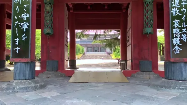 조죠지 사진 3