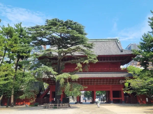 조죠지 사진 4