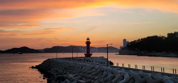 옥천횟집