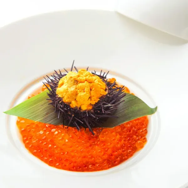 Sky View Dining 星空の中へ 사진 4