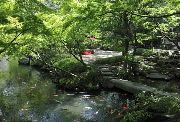 Mu-an (Tea House) 사진 4