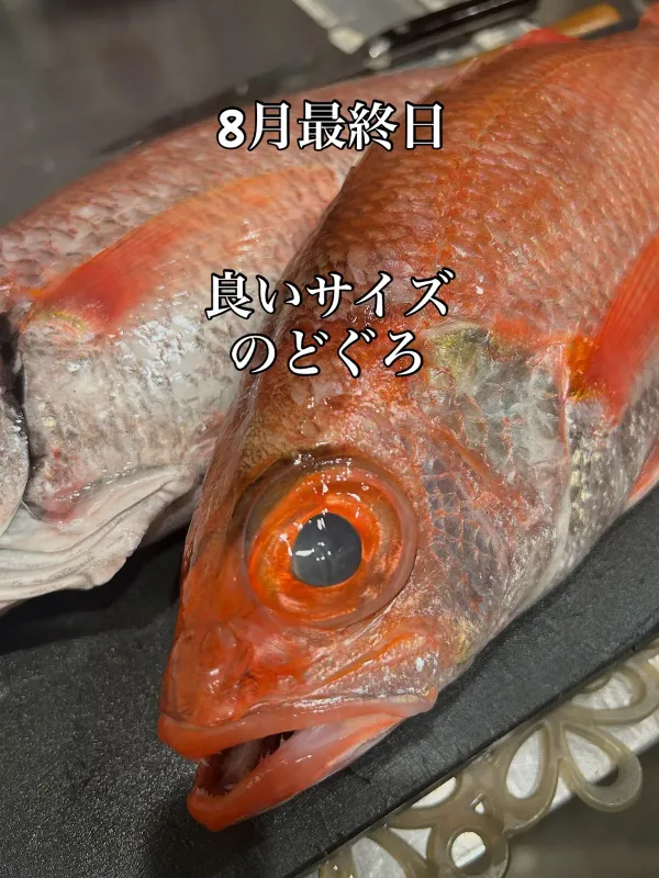 Ginza Sushiyoshi Hanare 사진 4