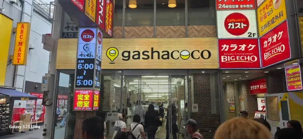 gashacoco 난바 에비스바시스지（가챠샵） 사진 5