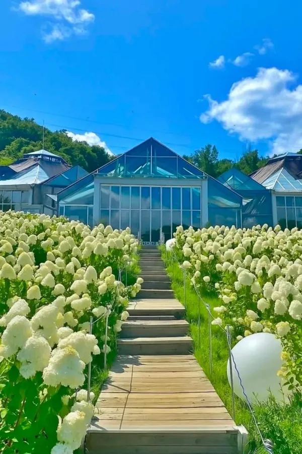 비루개