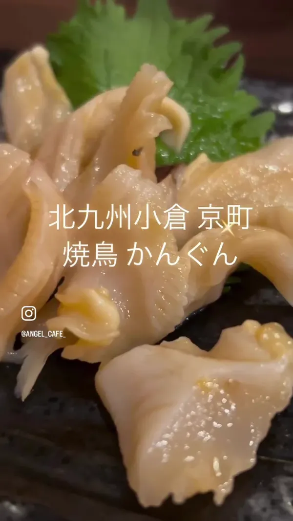 칸군 사진 2