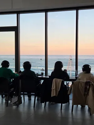 Vinyl Gangneung