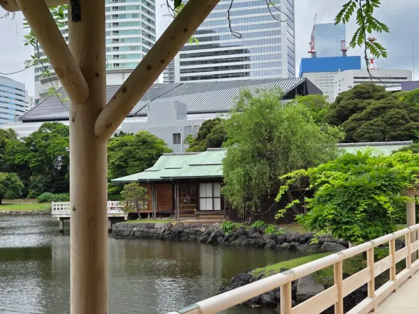 中島の御茶屋の写真4