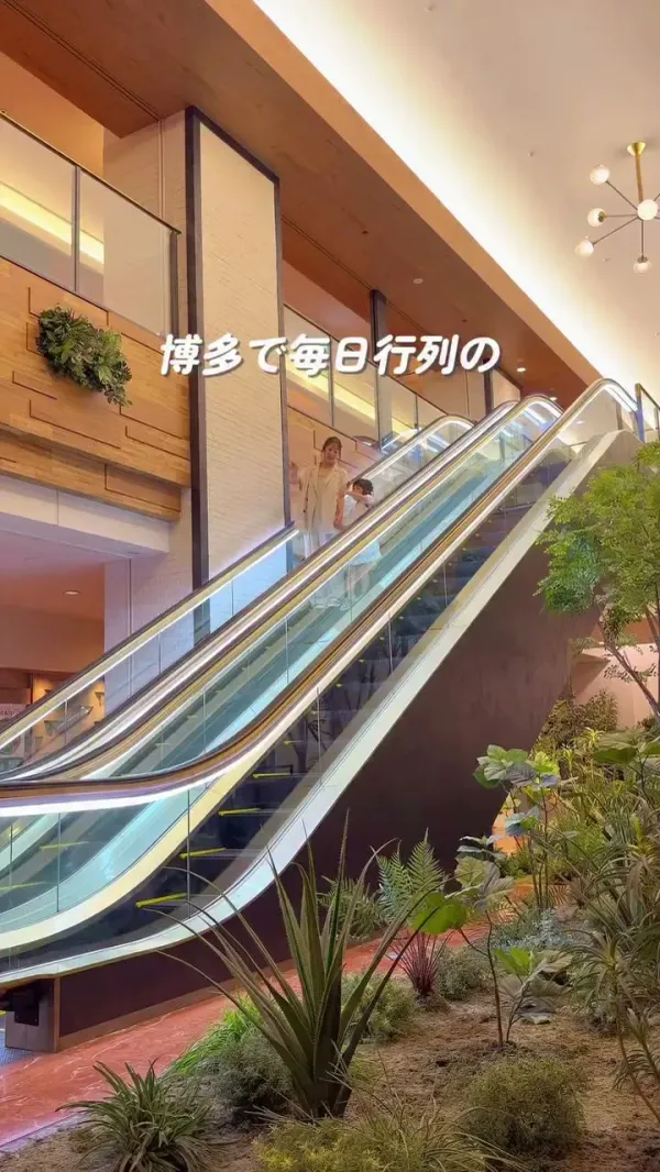 Restaurant LINK SQUARE(レストラン リンクスクエア)の写真5