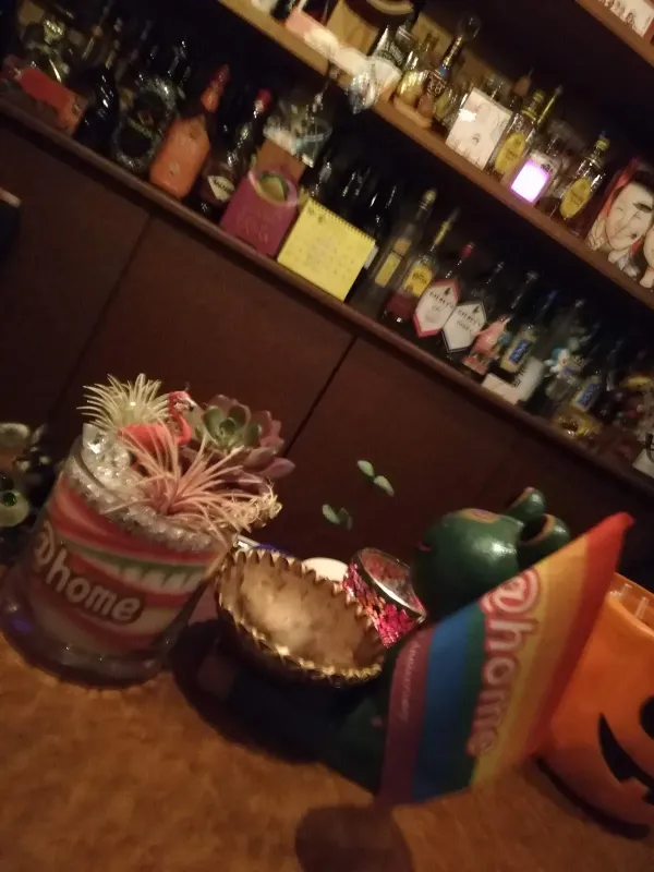 Bar 사진 3