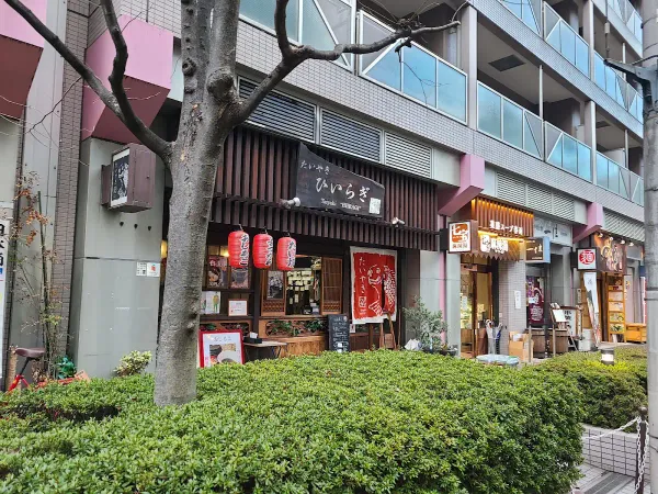 히라기 사진 5