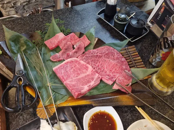 츠루규 사진 5