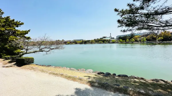[1-20-4] 오호리 공원 오월교 (皐月橋, 사스키하시) 사진 5
