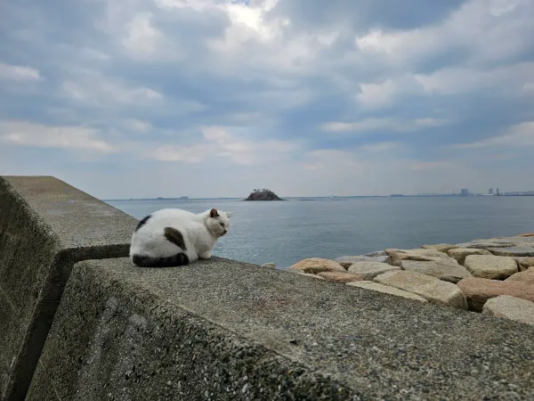 후쿠하마 해변 사진 4