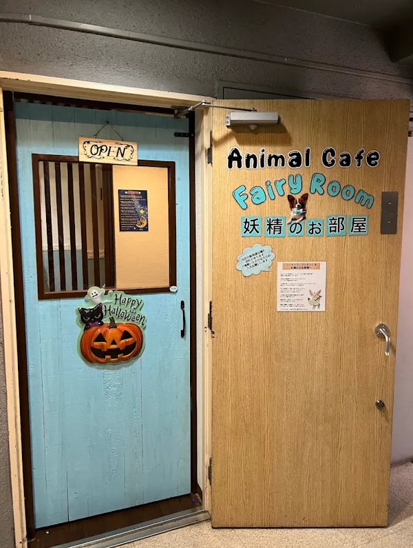 오사카 주오 가볼만한 곳 60곳
