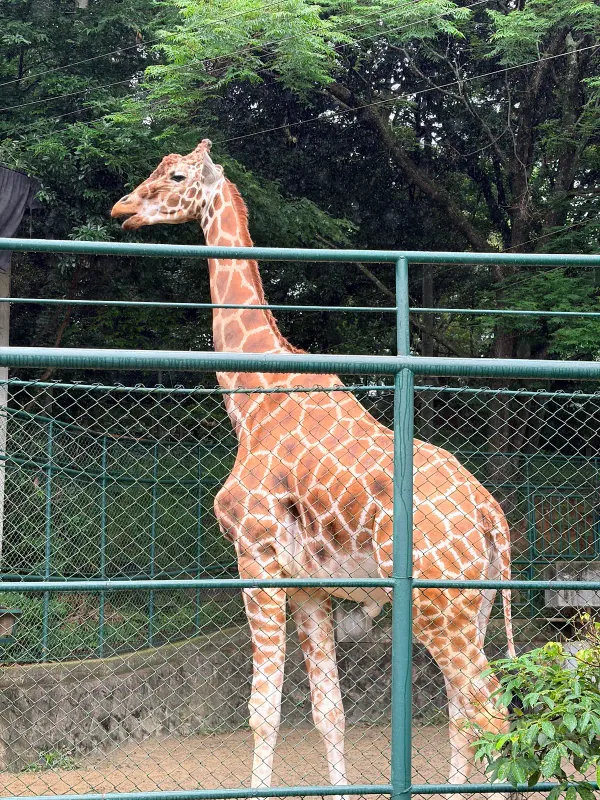 [2-10-1] 후쿠오카시 동식물원 (福岡市動植物園) 동물원 정문 사진 4
