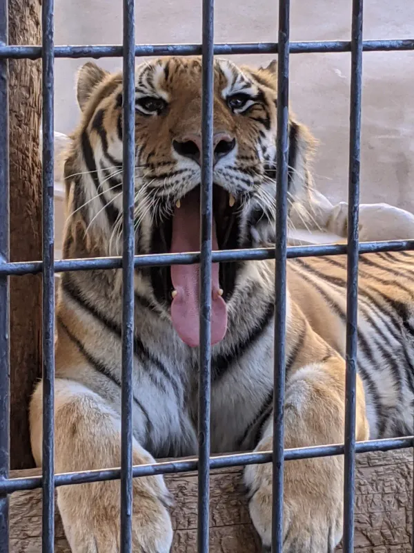 [2-10-1] 후쿠오카시 동식물원 (福岡市動植物園) 동물원 정문 사진 5