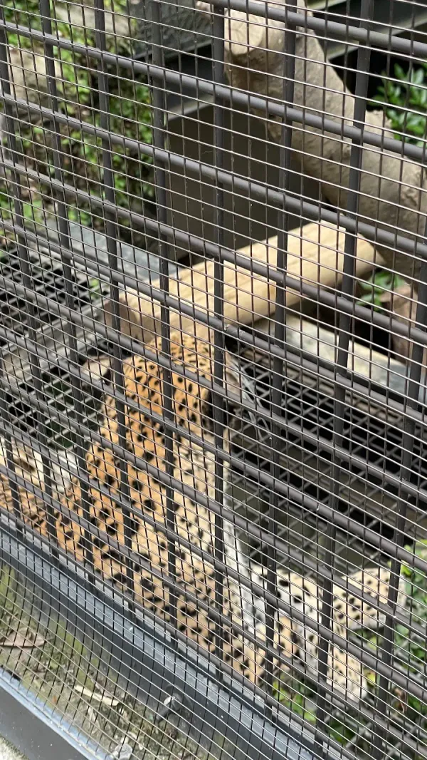 福岡市動植物園の写真5