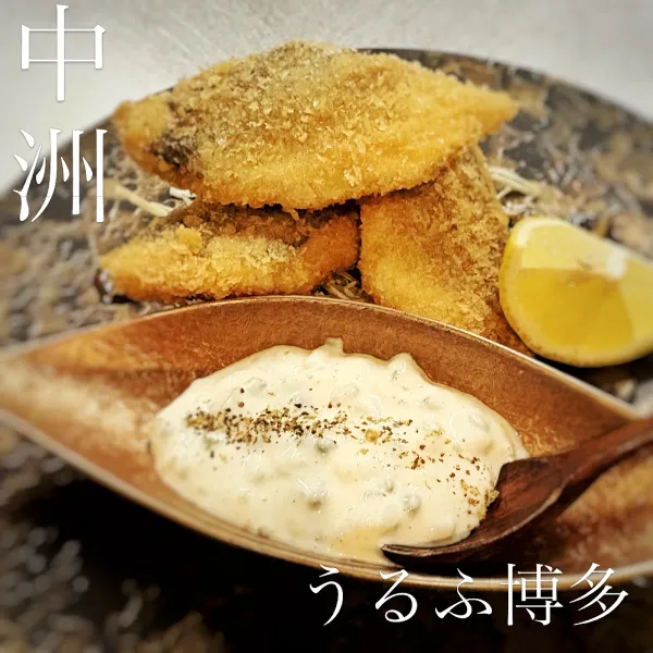 우루후 하카타 사진 4