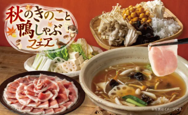 샤브요 사진 5