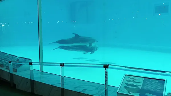 Reilly Restaurant Marine World Fukuoka 사진 3