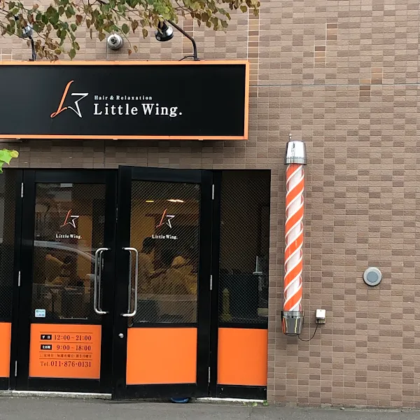 Little Wing