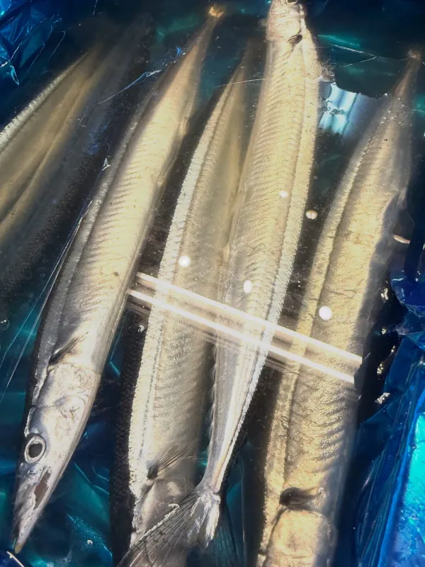가네카츠쇼쿠도 사진 5