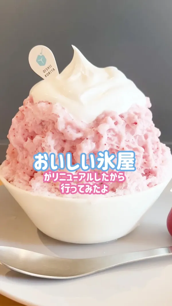 오이시이 코리야 사진 3