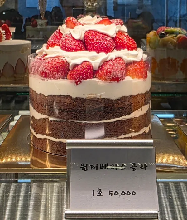 파네트 사진 3